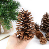 Popxstar Natural Pine Nuts Fruit Fake Plant Pine Cone Flower Pineapple Cones For Home Wedding Christmas Wreath Party Decor Xmas DIY Craft