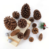 Popxstar Natural Pine Nuts Fruit Fake Plant Pine Cone Flower Pineapple Cones For Home Wedding Christmas Wreath Party Decor Xmas DIY Craft