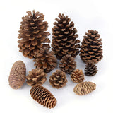 Popxstar Natural Pine Nuts Fruit Fake Plant Pine Cone Flower Pineapple Cones For Home Wedding Christmas Wreath Party Decor Xmas DIY Craft