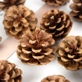 Popxstar Natural Pine Nuts Fruit Fake Plant Pine Cone Flower Pineapple Cones For Home Wedding Christmas Wreath Party Decor Xmas DIY Craft