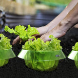 Popxstar  Plants Snail Protection Rings Vegetable Green Planter Flower Pot Pest Control Trapper Repel Snails Garden Protects Animal Tool