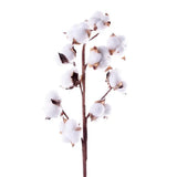 Popxstar 1 PCS 10 Heads Dried Cotton Flower Simple Handmade Artificial Plants Creative Natural False Floral Branch