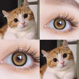 1 Pair Korean Color Contact Lenses with Natural Eye Contact Lenses Blue Brown Green Lenses Pupils Beauty Color lens