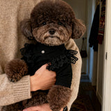 Pet Autumn Winter FashionLace Vest Flying Sleeve Breathable Dog Clothes Soft Cat Base Skirt Kitten Teddy Undershirt Cat T-shirt