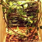 Popxstar Large Flexible Vines Rattan Habitat Decoration Bendable Jungle Branches Climb Pet Supplies Reptiles Terrarium Decor 1.5/2.5/3m