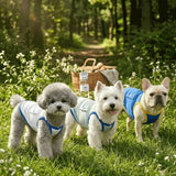 Dog Physical Cooling Camisole Thin Breathable Quick Dry Anti Heatstroke Sleeveless Shirt For Lakeside Picnic Morning Jogging