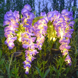 Solar Wisteria Flower Night Light Simulation Lamp Outdoor Waterproof Plug-in Lamp Solar Lawn Lamp Garden Courtyard Plug-in Lamp