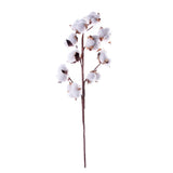 Popxstar 1 PCS 10 Heads Dried Cotton Flower Simple Handmade Artificial Plants Creative Natural False Floral Branch