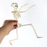 Popxstar Skeleton Halloween Decorations 40cm Posable Funny Lifelike Plastic Skeletons for Haunted House Graveyard Scene Party Props Decor