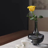 Round belly long neck glass vase Hydroponic fresh flowers flower arrangement desktop ornament home office hotel decoration