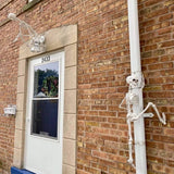 Popxstar Skeleton Halloween Decorations 40cm Posable Funny Lifelike Plastic Skeletons for Haunted House Graveyard Scene Party Props Decor