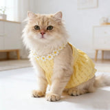Dog Fresh Solid Color Daisy Lace Collar Sling Dress Light Airy Waffle Fabric Daily Walking Princess Outfit