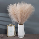 Popxstar 55CM 5/1PCS Fluffy Pampas Grass Boho Decor Flower Fake Plant Reed Simulated Wedding Party Christmas Home Decor Artificial Flower