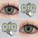 1 Pair Color Contact Lenses for Eyes Color Eye Lens Brown Eye Lenses  Gray Pupils Lens Yearly Black Contacts