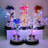 Popxstar  LED Enchanted Galaxy Rose Eternal Beauty And The Beast Rose With Fairy Lights In Dome Christmas Valentine's Day Gifts for Women