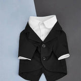 New Summer Pet Apparel: Classic Casual Two-Piece Suit for Teddy, Bichon, and Small Dogs
