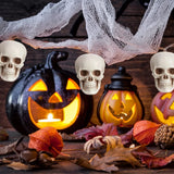 10Pcs Halloween Mini Skeleton Head Table Decor Terrifying Skull Heads Scary Props Halloween Decor Props Skulls Decoration