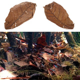 Popxstar 50pcs Natural Catappa Leaves Almond Leaf Fish Cleaning  Aquarium