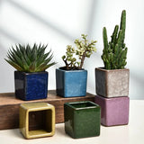 Jelly color Ice cracked glaze ceramic small flowerpot flower pot plant pot planter square home office desktop artwork ornament