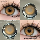 Popxstar  2pcs Colored Contact Lenses Brown Eyes Lenses Gray Lenses Blue Pupils Natural Eye Lens Colored Contacts Eye Cosmetics
