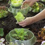 Popxstar  Plants Snail Protection Rings Vegetable Green Planter Flower Pot Pest Control Trapper Repel Snails Garden Protects Animal Tool