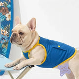 Dog Physical Cooling Camisole Thin Breathable Quick Dry Anti Heatstroke Sleeveless Shirt For Lakeside Picnic Morning Jogging