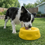 Interactive Food-Grade Silicone Dog Licking Bowl Anti-slip Anti-Choking Pet Slow Feeder Rolling Ball Dog Treat Bowl Liquid Snack