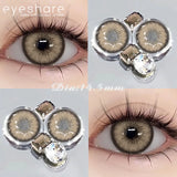 1 Pair Color Contact Lenses for Eyes Color Eye Lens Brown Eye Lenses  Gray Pupils Lens Yearly Black Contacts