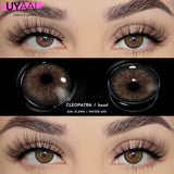 Popxstar 1 Pair Color Contact Lenses for Eyes Korean Brown Natural Big Eye Lenses Gray Eye Contact Green Color Lens