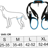 Popxstar  Adjustable Dog Lift Harness Pet Support Sling Pet Dogs Aid Assist Tool for Old Dogs for Back Legs Help Weak Legs Stand Up