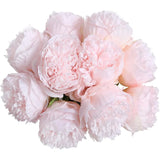 5 Simulated peonies, Artificial flowers for living room and bedroom decoration, Holding flowers for wedding parties