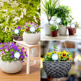 Popxstar 2Plant Water Feeder Automatic Plastical Balls Garden Water Device Plants Watering Bulbs Self Watering Drip Irrigation Devices