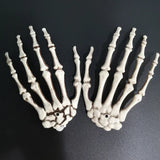 Popxstar 1 Pairs Halloween Decoration Props Halloween Decoration Realistic Life Size Skeleton Hands Plastic Human Hand Bone Plastic Hands
