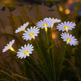 New Solar Flower Lawn Light Daisy LED Solar Ground Plug Simulation Outdoor Flower Bed Garden Villa Courtyard Decoration Light