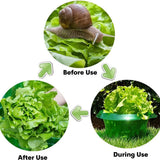 Popxstar  Plants Snail Protection Rings Vegetable Green Planter Flower Pot Pest Control Trapper Repel Snails Garden Protects Animal Tool