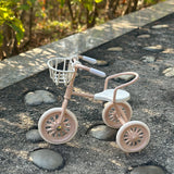 Popxstar  Miniature Tricycle Model Ornament Home Decor Collectible, Miniature Scene Display, and Decorative Christmas & New Year Gift