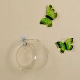 Popxstar Transparent Glass Vase Wall Hanging Hydroponic Terrarium Fish Tanks Potted Plant Flower Pot Dia 8cm/10cm/12cm