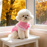 Pet Autumn Winter FashionLace Vest Flying Sleeve Breathable Dog Clothes Soft Cat Base Skirt Kitten Teddy Undershirt Cat T-shirt