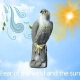 Popxstar Simulation Eagle Statue Living Room Ornaments Home Decor Artificial Crafts Garden Sculpture Patio Porch Yard Decoration
