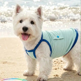 Dog Physical Cooling Camisole Thin Breathable Quick Dry Anti Heatstroke Sleeveless Shirt For Lakeside Picnic Morning Jogging