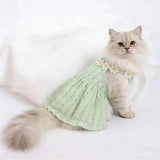 Dog Fresh Solid Color Daisy Lace Collar Sling Dress Light Airy Waffle Fabric Daily Walking Princess Outfit