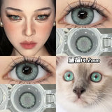 Popxstar 1 Pair Blue Contact Lenses Colored Eyeglass Lenses Pupils Myopia Eye Color Lenses 10 Tone Grey Brown Green Lens for Eyes