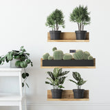 Popxstar 3PCS Green Plant Cactus Potted Wall Stickers for Bedroom Living Room Bathroom Home Decoartion Wall Decals