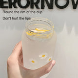 This Summer Cute Little Chrysanthemum Water Cup Comes in Two Styles  Frosted and Transparent  with A Handle for Easy Carrying