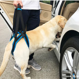 Popxstar  Adjustable Dog Lift Harness Pet Support Sling Pet Dogs Aid Assist Tool for Old Dogs for Back Legs Help Weak Legs Stand Up