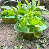 Popxstar  Plants Snail Protection Rings Vegetable Green Planter Flower Pot Pest Control Trapper Repel Snails Garden Protects Animal Tool