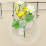 Popxstar Transparent Glass Vase Wall Hanging Hydroponic Terrarium Fish Tanks Potted Plant Flower Pot Dia 8cm/10cm/12cm