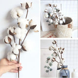 Popxstar 1 PCS 10 Heads Dried Cotton Flower Simple Handmade Artificial Plants Creative Natural False Floral Branch