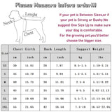 Cute Pet Dog Dress Cherry Strawberry Print Dog Clothes Suspender Skirt Chihuahua French Bulldog Cat Clothing Girls Dog Costume