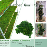 Popxstar Artificial Moss Green for Potted Plant Orchid Potting Mix Peat Moss Pole Craft